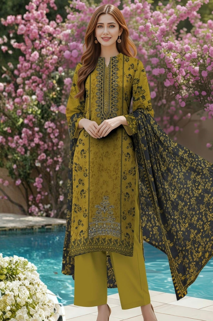 3 Piece Embroidered Dhanak Unstitched Suit –  Fancy Collection Luxury Winter Wear RA39-1025LLW91-ML